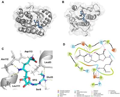 Computational analysis of RNA methyltransferase Rv3366 as a potential drug target for combating drug-resistant Mycobacterium tuberculosis